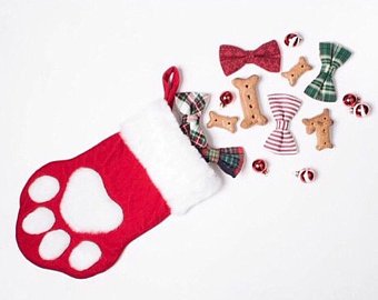 Santa Paws Workshop