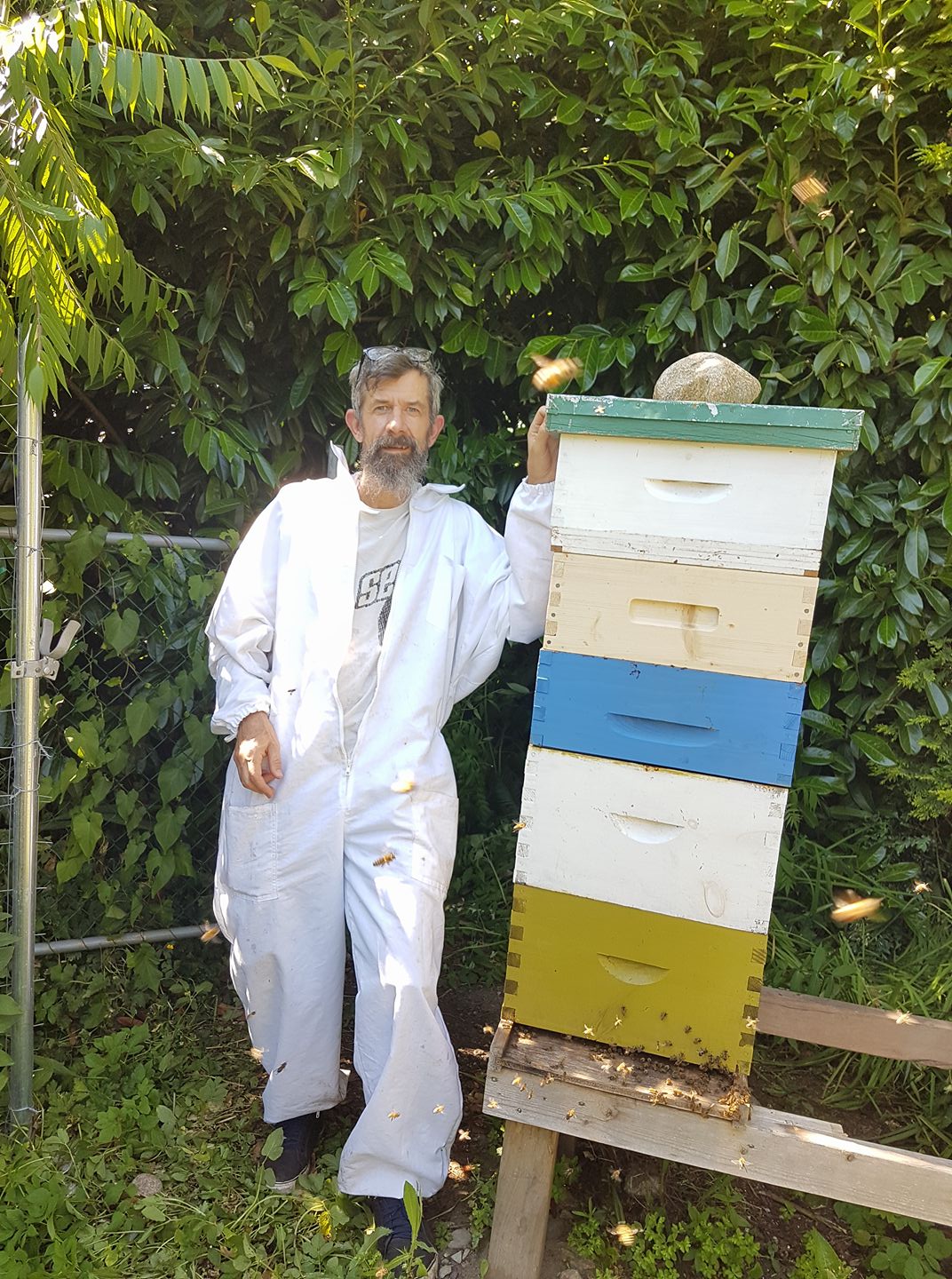 Meet Stephen of East Van Bees